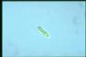 Euglena gracilis