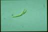 Euglena