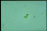 Oocystis