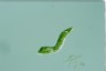 Euglena deses